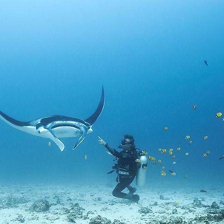 Blue Marlin Dive Komodo Labuan Bajo Exterior photo